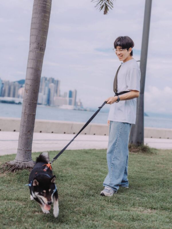 Leslie Multi-functional Dog Leash - Image 19