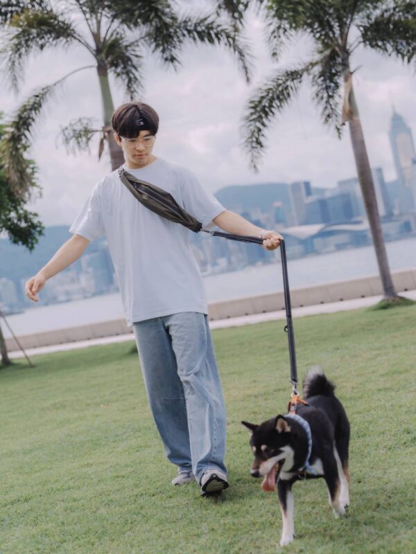 Leslie Multi-functional Dog Leash