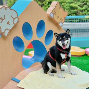 Teddy Heaven Travel Mat (Plus)