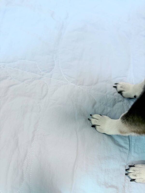 Teddy Heaven Travel Mat (Plus) - Image 3