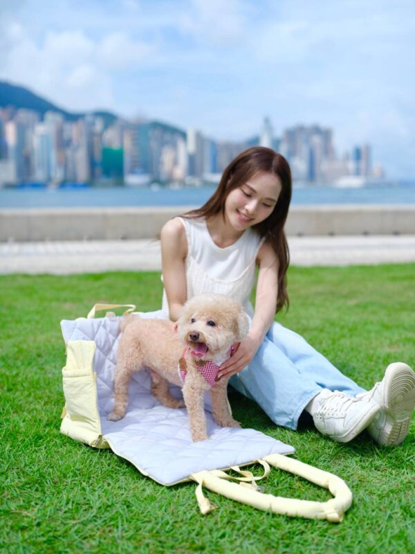 Sunny Bubble Bag