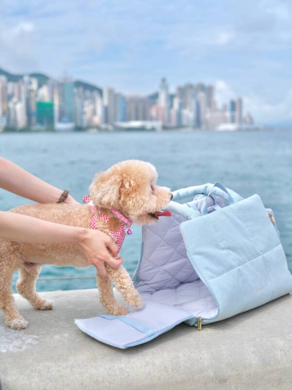 Sunny Bubble Bag - Image 12