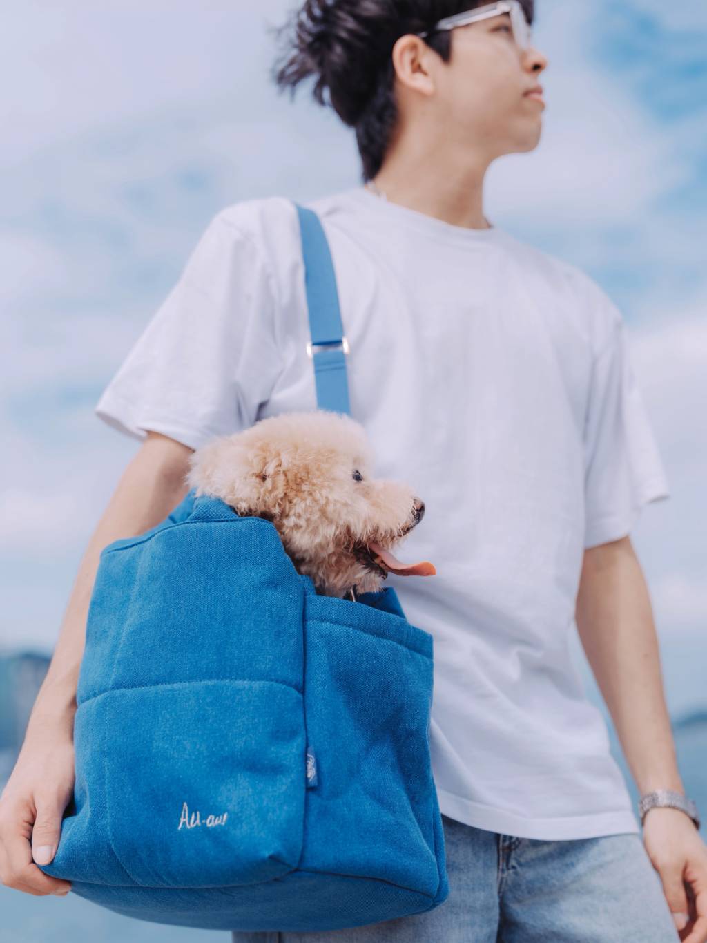 Fonny Bubble Bag