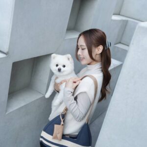 City Girl Walking Bag - Slate Stripe